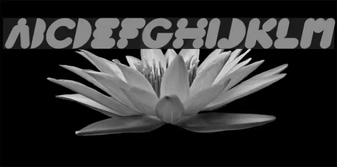 High Logic Bold Italic Font examples