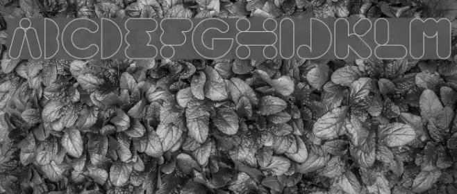 High Logic-Hollow Font examples