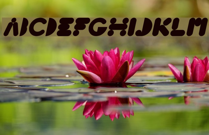 High Logic Italic Example 1