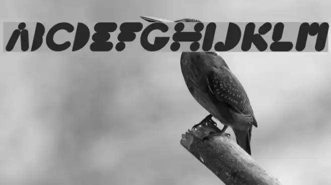 High Logic Italic Font examples