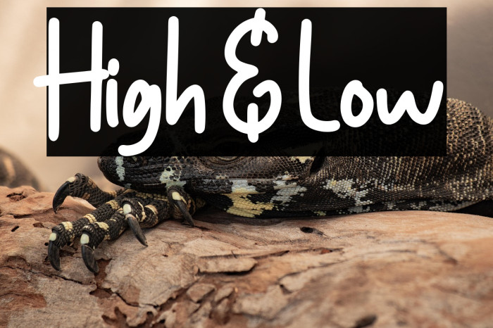 High & Low Example 3