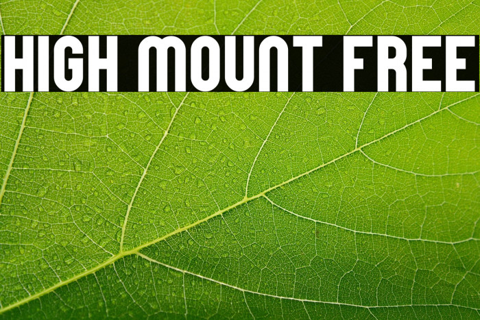 High Mount Free Example 1