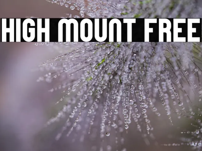 High Mount Free Example 2