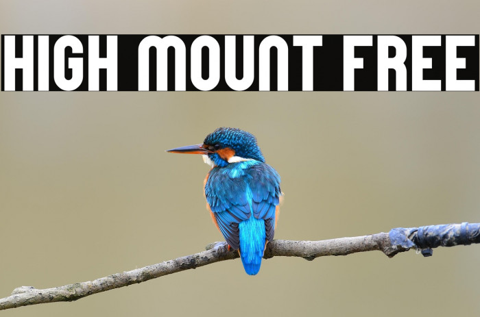 High Mount Free Example 3