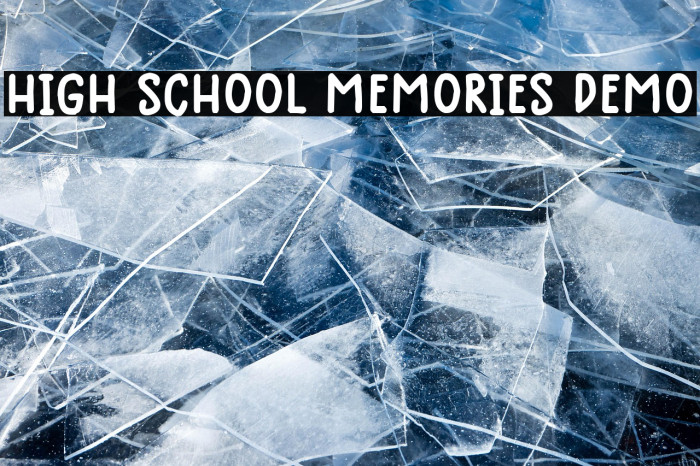 High School Memories Demo Example 3