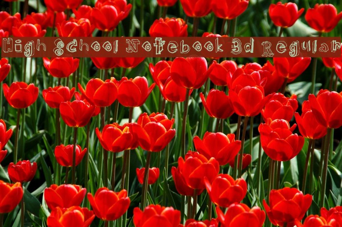 High School Notebook 3d Regular Font examples