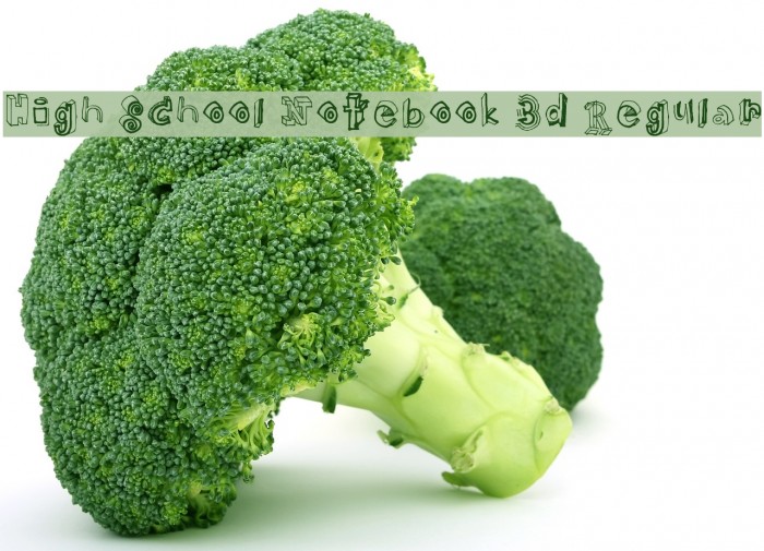 High School Notebook 3d Regular Font examples