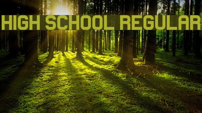 High School Regular Font examples