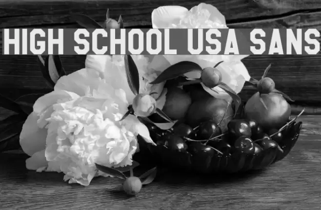 High School USA Sans Font examples