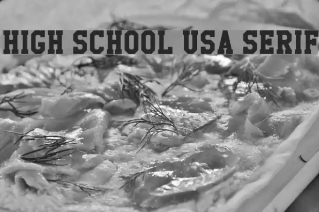High School USA Serif Font examples