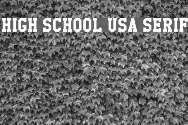 High School USA Serif Font examples
