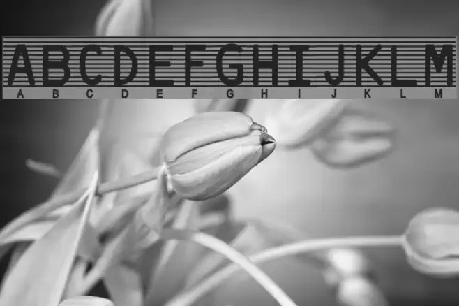 High-Security-Font Font examples