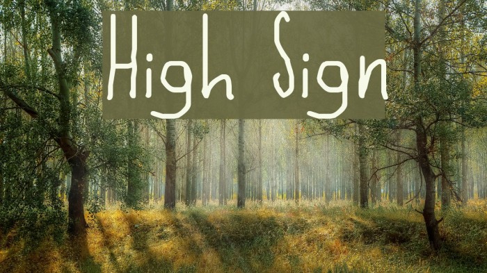 High Sign Font examples