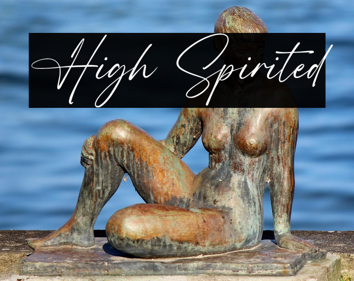 High Spirited Example 3