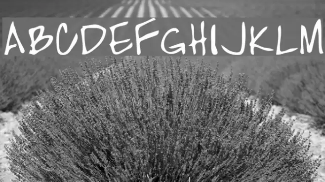 High Strung Font examples