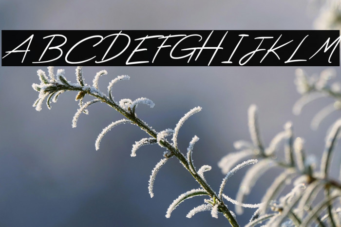 High Summit Example 1