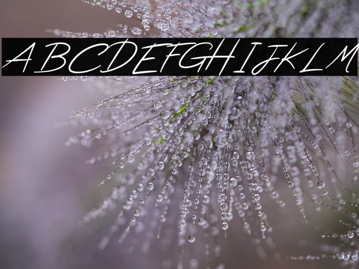 High Summit Example 3