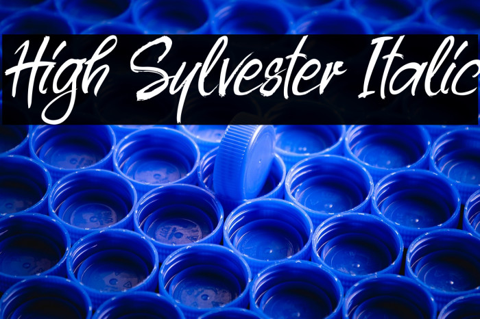 High Sylvester Italic Example 1