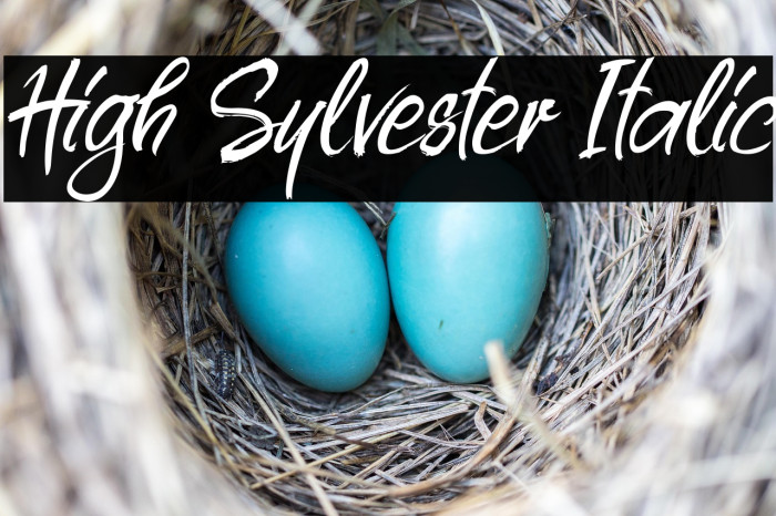 High Sylvester Italic Example 3