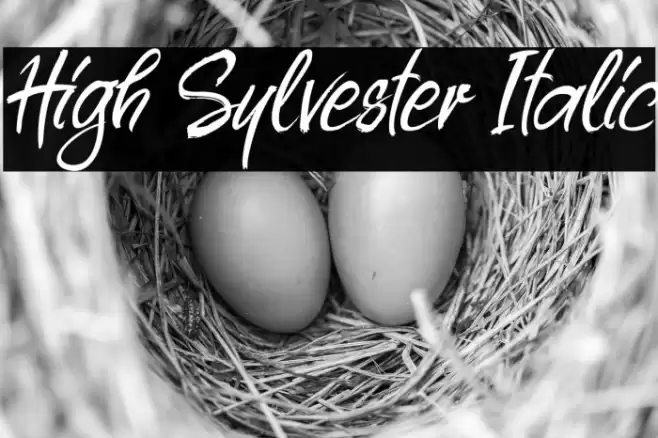High Sylvester Italic Caratteri examples
