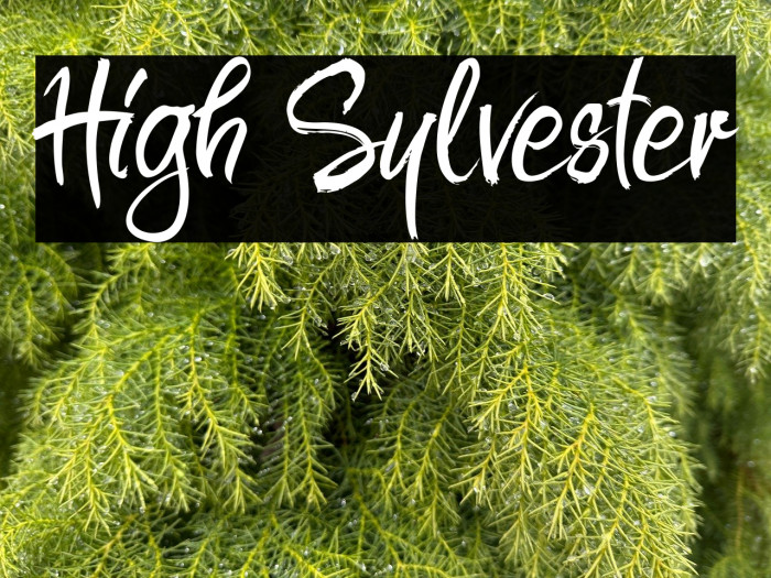 High Sylvester Example 1