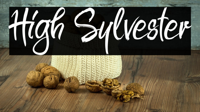 High Sylvester Example 3