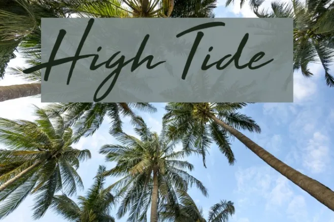 High Tide Example 3