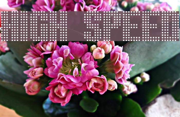 High speed Font examples