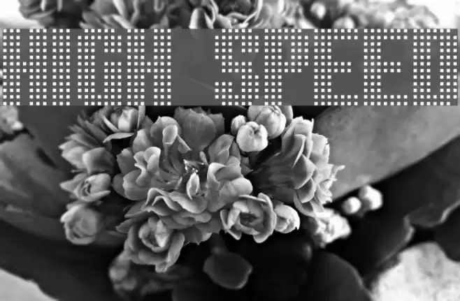 High speed フォント examples