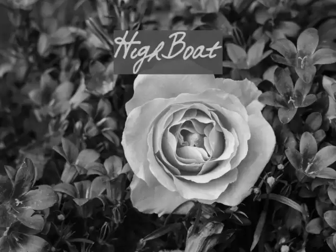 HighBoat Font examples