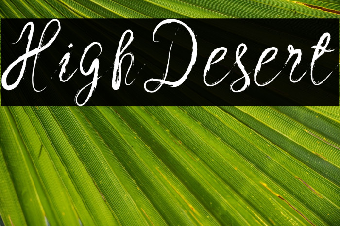 HighDesert Example 3
