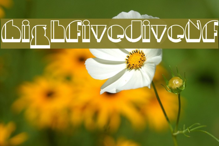 HighFiveJiveNF Example 3