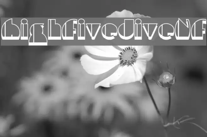 HighFiveJiveNF Font examples