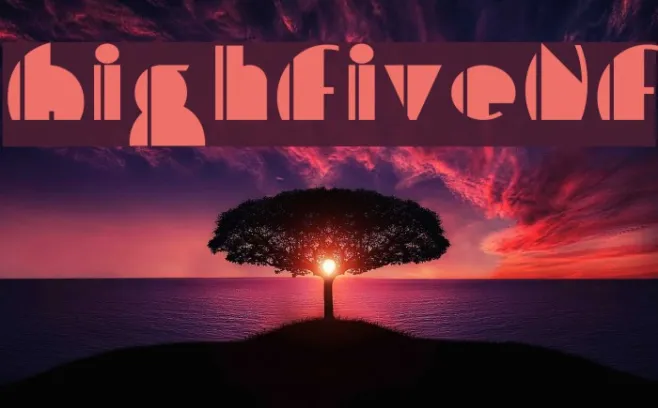 HighFiveNF Example 1