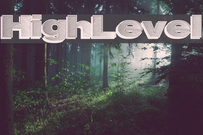 HighLevel Font examples
