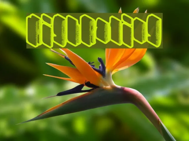 HighRating Example 1