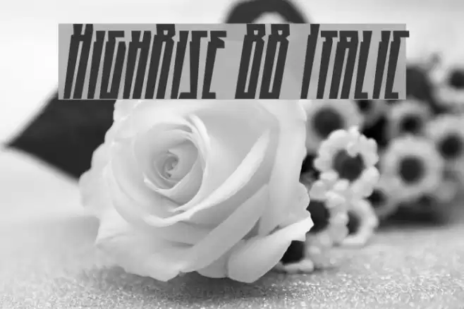HighRise BB Italic Font examples