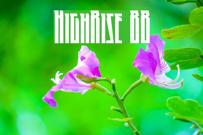 HighRise BB Font examples