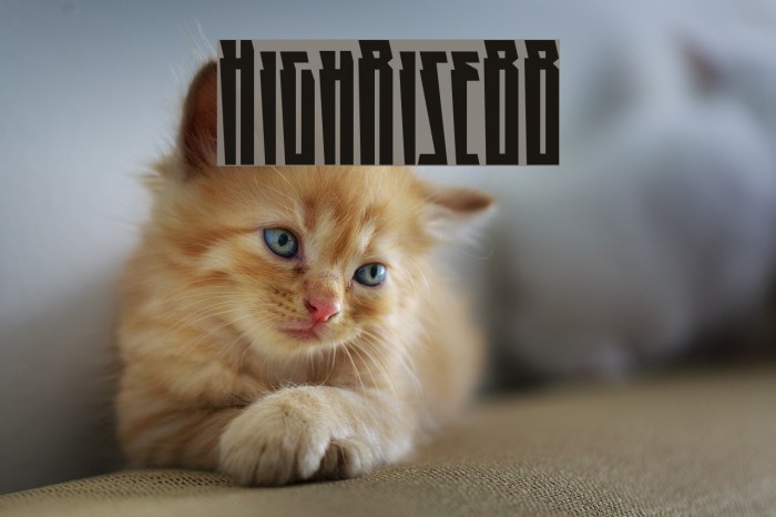 HighRiseBB Example 2