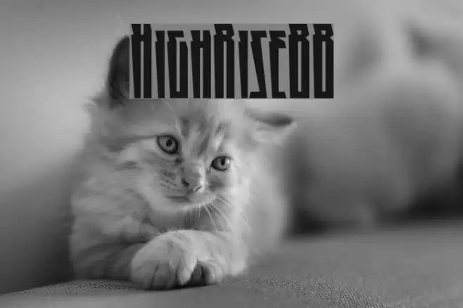 HighRiseBB Font examples