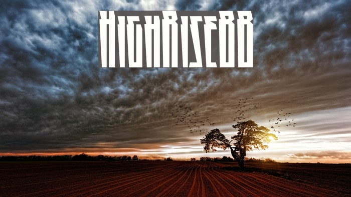 HighRiseBB Example 3