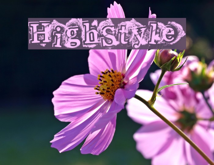 HighStyle Font examples