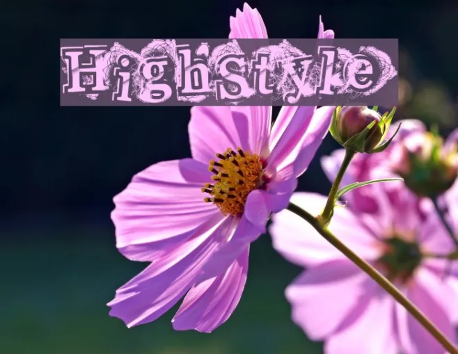HighStyle Example 3