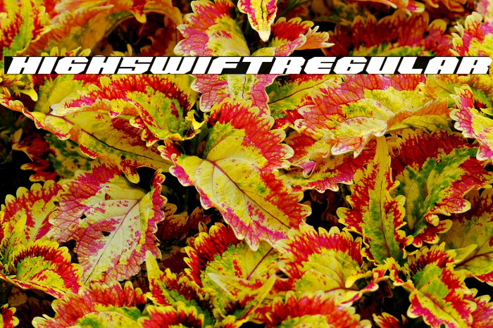 HighSwift-Regular Example 2