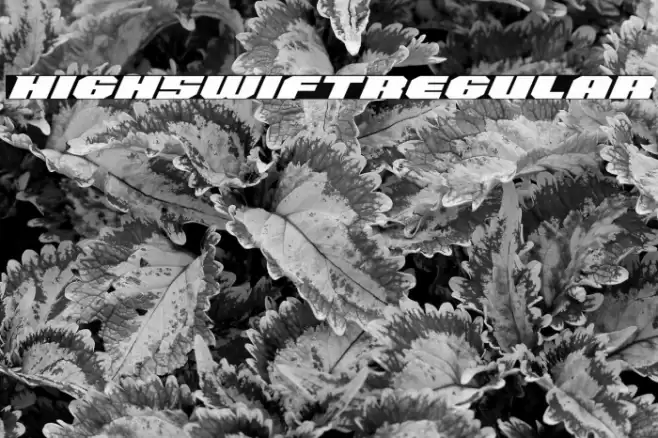 HighSwift-Regular Font examples