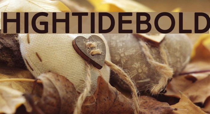 HighTideBold Font examples