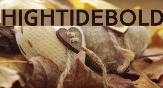 HighTideBold Example 1