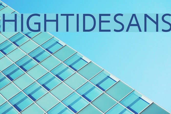 HighTideSans Example 3