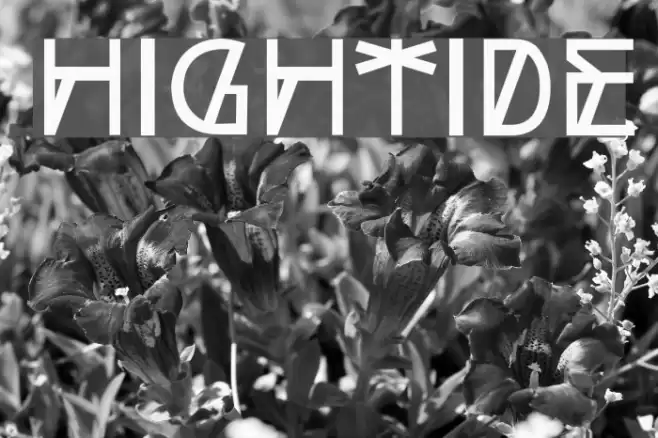 HighTide Font examples