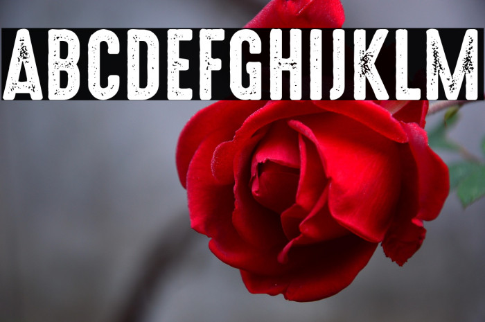 HighVoltage Rough Example 1